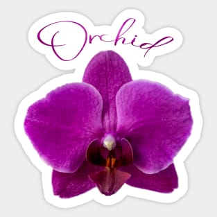 Purple Orchid and Text Sticker